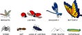 Set of cartoon insects: mosquito, ladybug, dragonfly, butterfly, spider, ant, pond skater and caterpillar isolated on white Royalty Free Stock Photo